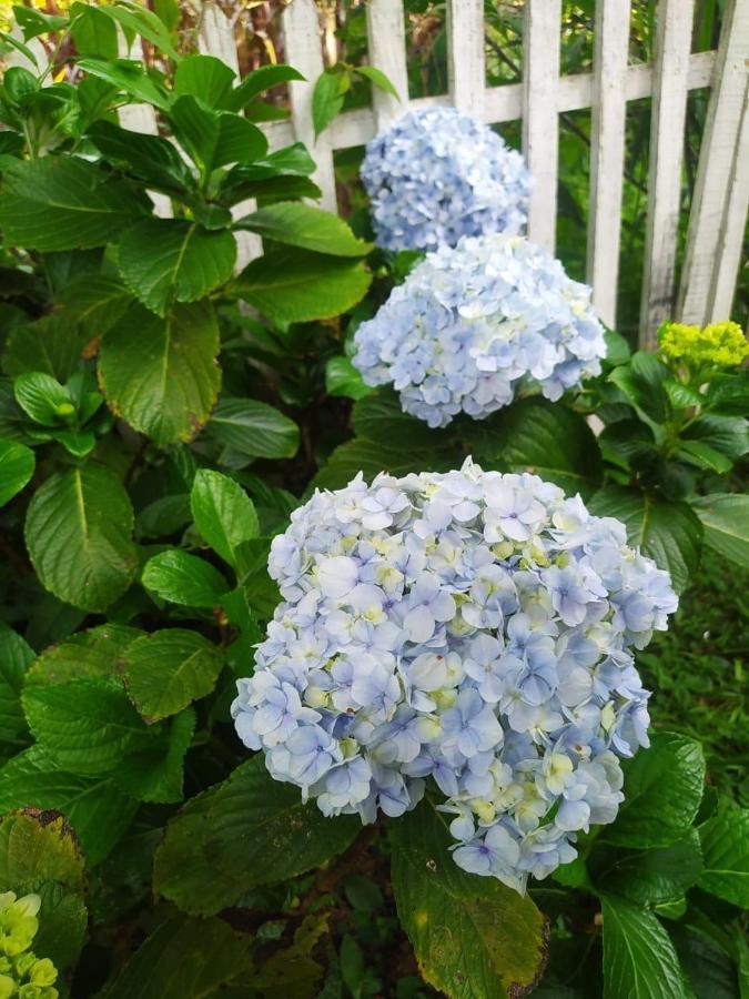 Recanto Das Flores Sao Tome das Letras Exterior photo